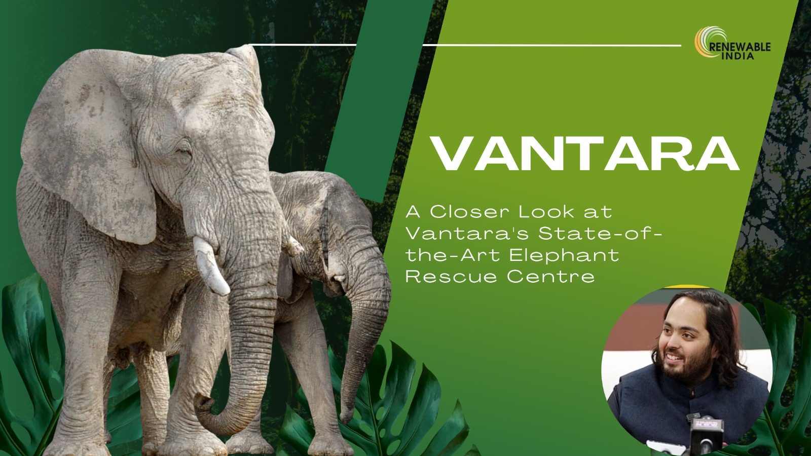 PM Narendra Modi Inaugurates Vantara in Jamnagar, Gujarat: A New Era for Wildlife Conservation